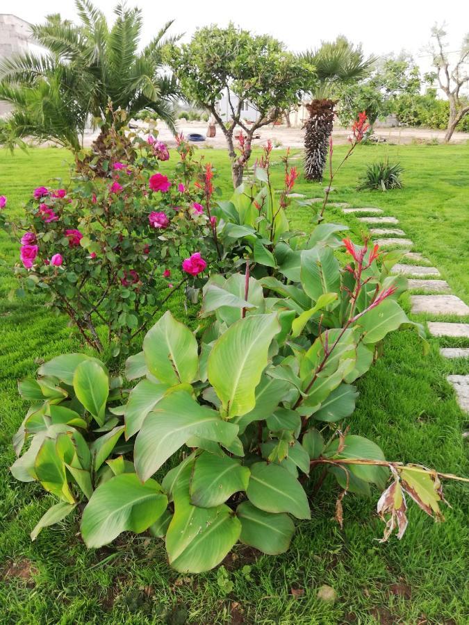 Il Giardino Dei Tramonti Nardò Exterior foto