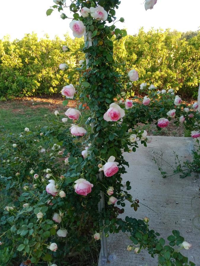 Il Giardino Dei Tramonti Nardò Exterior foto